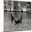 Grand Canal Gondoliers I-Rita Crane-Mounted Photographic Print