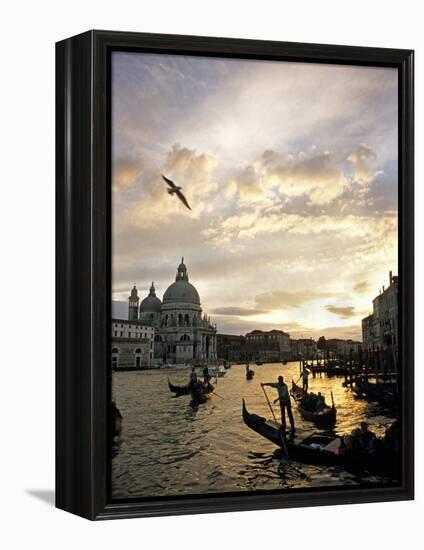 Grand Canal, Santa Maria della Salute Church, Gondolas, Venice, Italy-David Barnes-Framed Premier Image Canvas