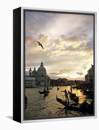 Grand Canal, Santa Maria della Salute Church, Gondolas, Venice, Italy-David Barnes-Framed Premier Image Canvas