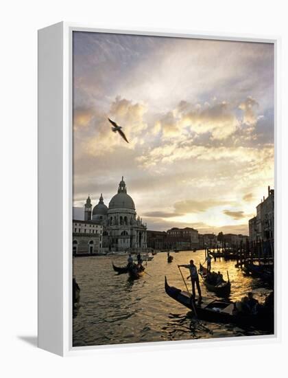 Grand Canal, Santa Maria della Salute Church, Gondolas, Venice, Italy-David Barnes-Framed Premier Image Canvas