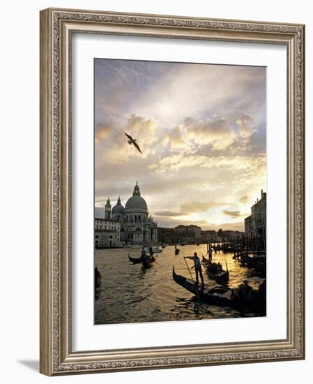 Grand Canal, Santa Maria della Salute Church, Gondolas, Venice, Italy-David Barnes-Framed Photographic Print