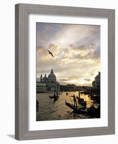 Grand Canal, Santa Maria della Salute Church, Gondolas, Venice, Italy-David Barnes-Framed Photographic Print