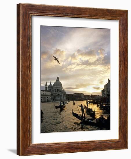 Grand Canal, Santa Maria della Salute Church, Gondolas, Venice, Italy-David Barnes-Framed Photographic Print