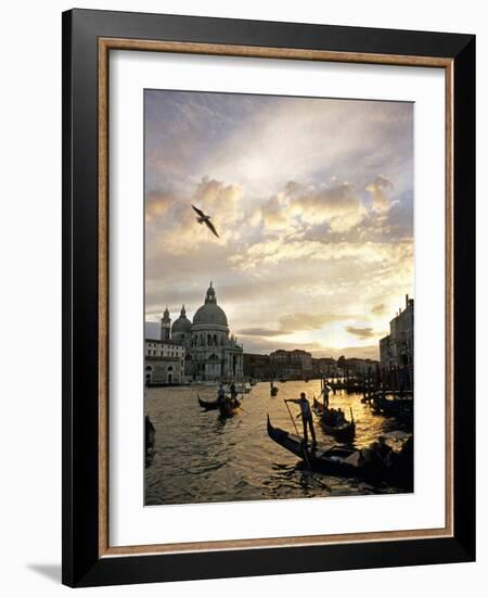 Grand Canal, Santa Maria della Salute Church, Gondolas, Venice, Italy-David Barnes-Framed Photographic Print