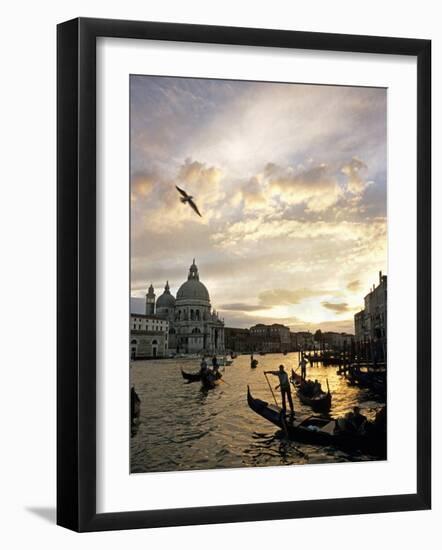 Grand Canal, Santa Maria della Salute Church, Gondolas, Venice, Italy-David Barnes-Framed Photographic Print