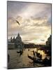 Grand Canal, Santa Maria della Salute Church, Gondolas, Venice, Italy-David Barnes-Mounted Photographic Print