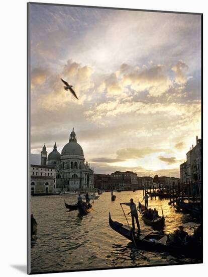 Grand Canal, Santa Maria della Salute Church, Gondolas, Venice, Italy-David Barnes-Mounted Photographic Print