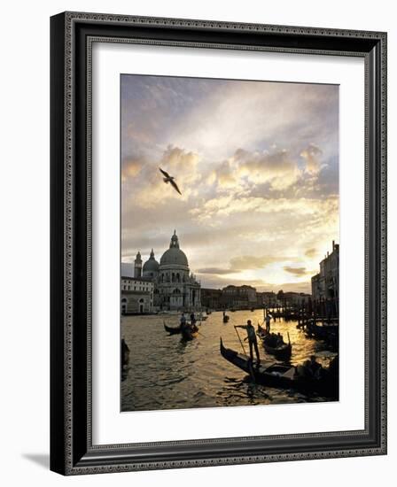 Grand Canal, Santa Maria della Salute Church, Gondolas, Venice, Italy-David Barnes-Framed Photographic Print