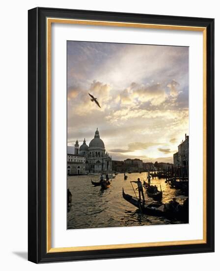 Grand Canal, Santa Maria della Salute Church, Gondolas, Venice, Italy-David Barnes-Framed Photographic Print