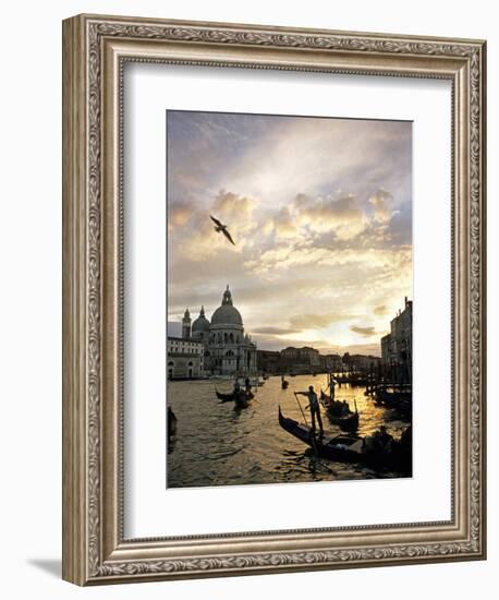 Grand Canal, Santa Maria della Salute Church, Gondolas, Venice, Italy-David Barnes-Framed Photographic Print