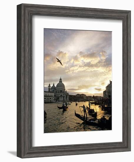 Grand Canal, Santa Maria della Salute Church, Gondolas, Venice, Italy-David Barnes-Framed Photographic Print