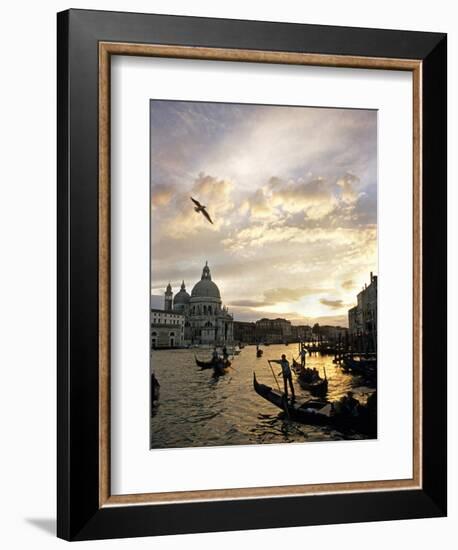 Grand Canal, Santa Maria della Salute Church, Gondolas, Venice, Italy-David Barnes-Framed Photographic Print