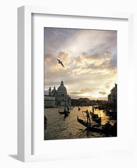 Grand Canal, Santa Maria della Salute Church, Gondolas, Venice, Italy-David Barnes-Framed Photographic Print