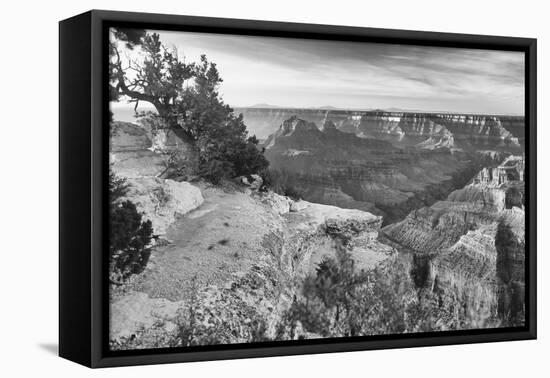 Grand Canyon 01-Gordon Semmens-Framed Premier Image Canvas