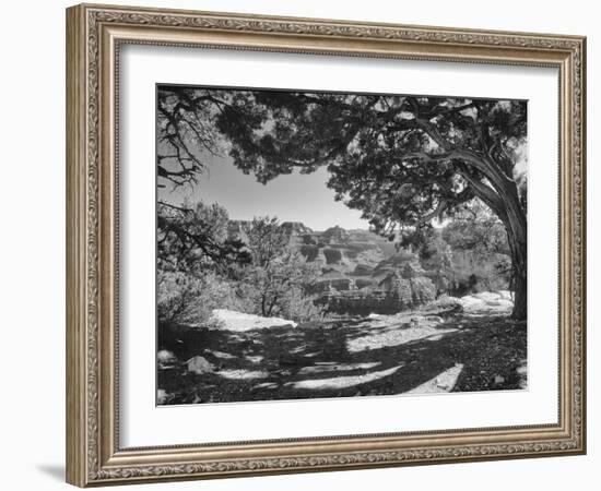 Grand Canyon 08-Gordon Semmens-Framed Photographic Print