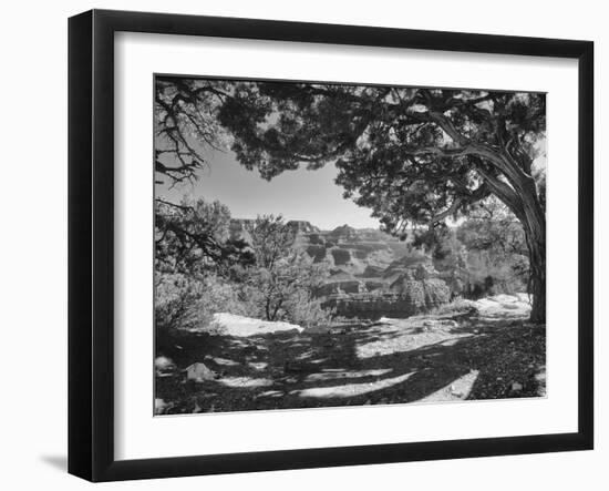 Grand Canyon 08-Gordon Semmens-Framed Photographic Print