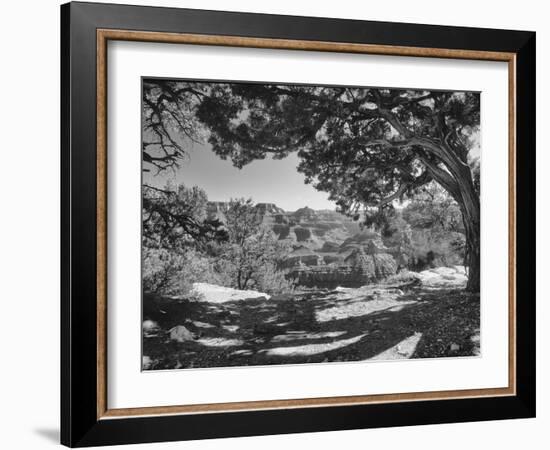 Grand Canyon 08-Gordon Semmens-Framed Photographic Print