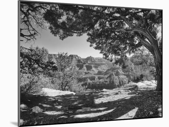 Grand Canyon 08-Gordon Semmens-Mounted Photographic Print