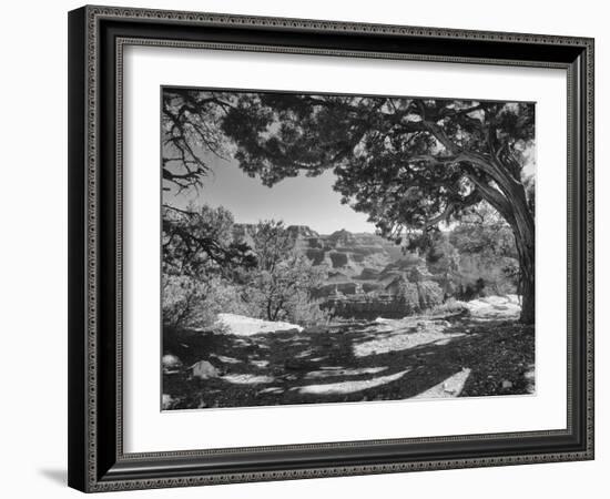 Grand Canyon 08-Gordon Semmens-Framed Photographic Print