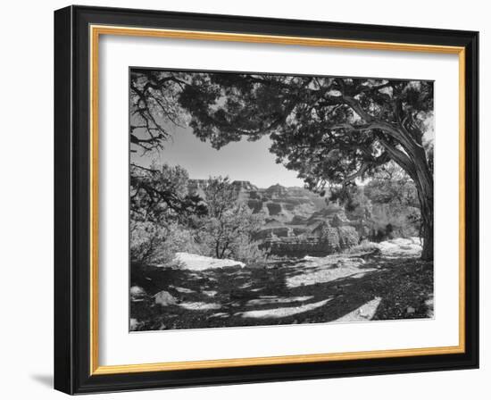 Grand Canyon 08-Gordon Semmens-Framed Photographic Print