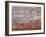 Grand Canyon 2-Sylvia Coomes-Framed Photographic Print
