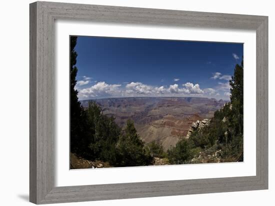 Grand Canyon, Arizona, Viewed Through a Gap in Trees, with Numerous Clouds on the Horizon-Mike Kirk-Framed Photographic Print