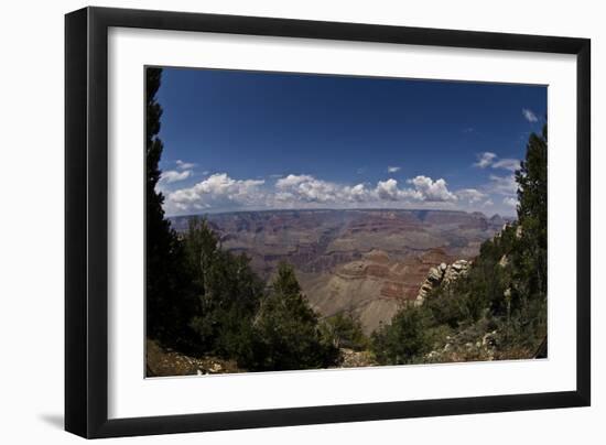 Grand Canyon, Arizona, Viewed Through a Gap in Trees, with Numerous Clouds on the Horizon-Mike Kirk-Framed Photographic Print