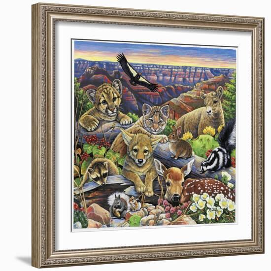 Grand Canyon Babies-Jenny Newland-Framed Giclee Print