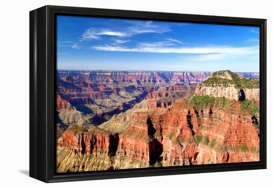 Grand Canyon Dawn II-Douglas Taylor-Framed Premier Image Canvas