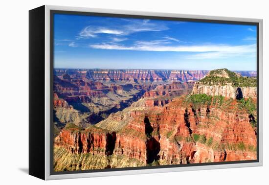 Grand Canyon Dawn II-Douglas Taylor-Framed Premier Image Canvas