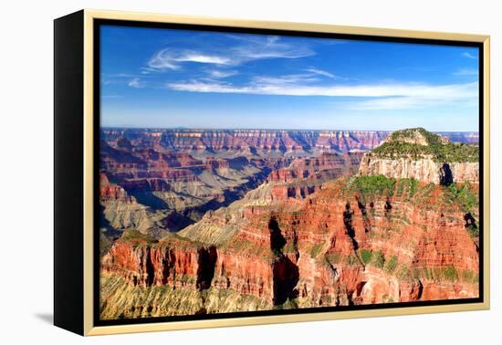 Grand Canyon Dawn II-Douglas Taylor-Framed Premier Image Canvas