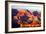 Grand Canyon Dawn IV-Douglas Taylor-Framed Photographic Print