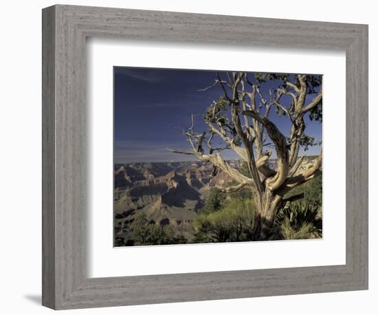 Grand Canyon from South Rim, Grand Canyon National Park, Arizona, USA-Adam Jones-Framed Photographic Print
