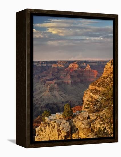 Grand Canyon From the South Rim at Sunset, Grand Canyon National Park, Arizona, USA-Adam Jones-Framed Premier Image Canvas