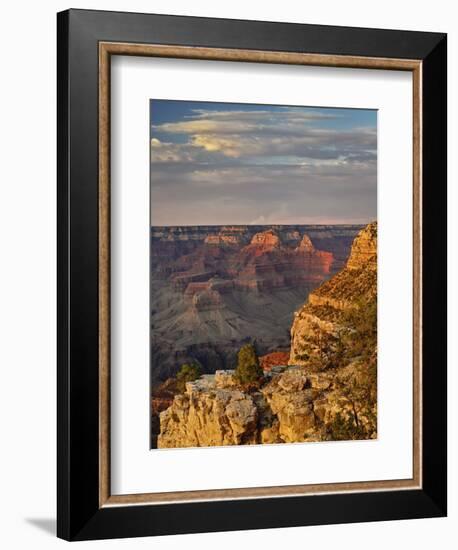 Grand Canyon From the South Rim at Sunset, Grand Canyon National Park, Arizona, USA-Adam Jones-Framed Photographic Print