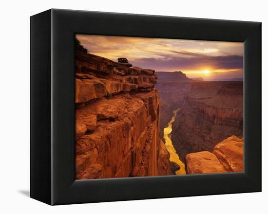 Grand Canyon from Toroweap Point-Ron Watts-Framed Premier Image Canvas