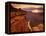 Grand Canyon from Toroweap Point-Ron Watts-Framed Premier Image Canvas