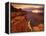 Grand Canyon from Toroweap Point-Ron Watts-Framed Premier Image Canvas