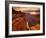 Grand Canyon from Toroweap Point-Ron Watts-Framed Photographic Print