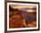 Grand Canyon from Toroweap Point-Ron Watts-Framed Photographic Print