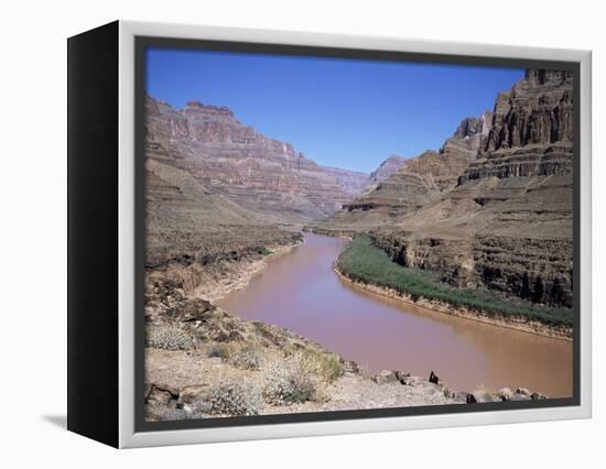 Grand Canyon Gorge, Las Vegas, Nevada, United States of America (U.S.A.), North America-Alison Wright-Framed Premier Image Canvas