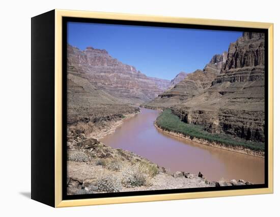 Grand Canyon Gorge, Las Vegas, Nevada, United States of America (U.S.A.), North America-Alison Wright-Framed Premier Image Canvas