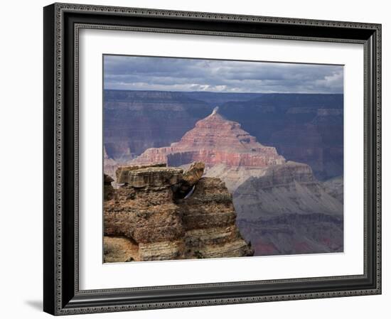 Grand Canyon III-J.D. Mcfarlan-Framed Photographic Print