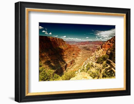 Grand Canyon - National Park - Arizona - United States-Philippe Hugonnard-Framed Photographic Print