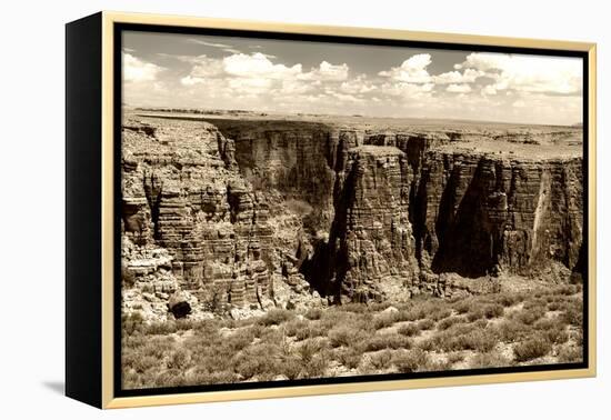 Grand Canyon - National Park - Arizona - United States-Philippe Hugonnard-Framed Premier Image Canvas