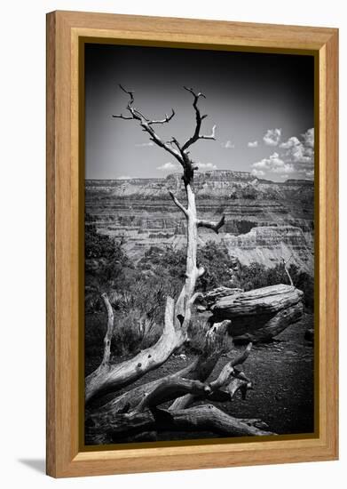 Grand Canyon - National Park - Arizona - United States-Philippe Hugonnard-Framed Premier Image Canvas
