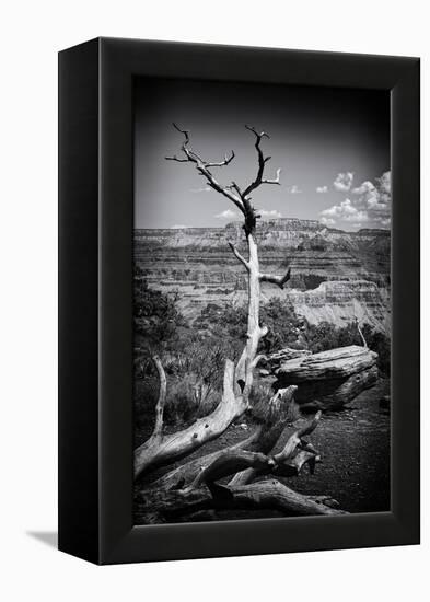 Grand Canyon - National Park - Arizona - United States-Philippe Hugonnard-Framed Premier Image Canvas