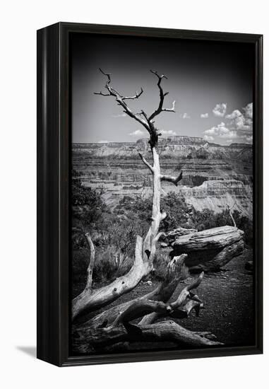 Grand Canyon - National Park - Arizona - United States-Philippe Hugonnard-Framed Premier Image Canvas