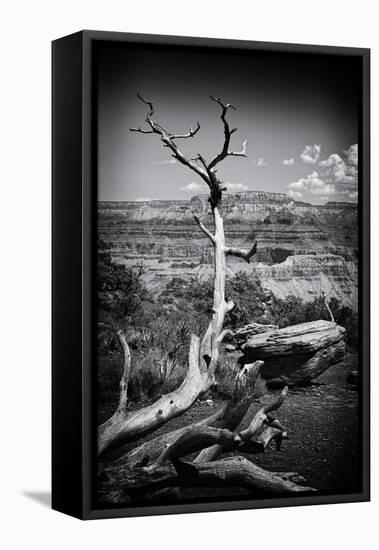 Grand Canyon - National Park - Arizona - United States-Philippe Hugonnard-Framed Premier Image Canvas