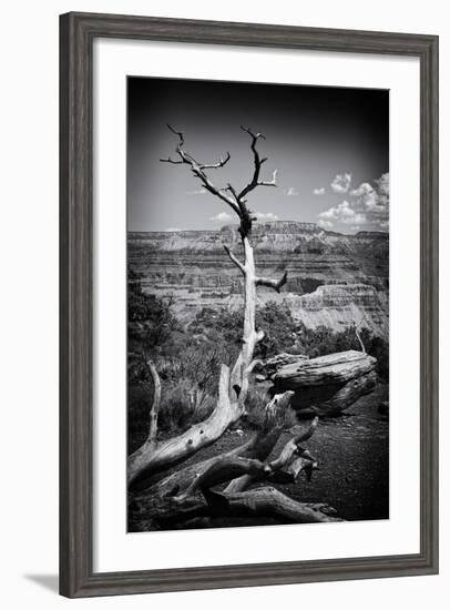 Grand Canyon - National Park - Arizona - United States-Philippe Hugonnard-Framed Photographic Print